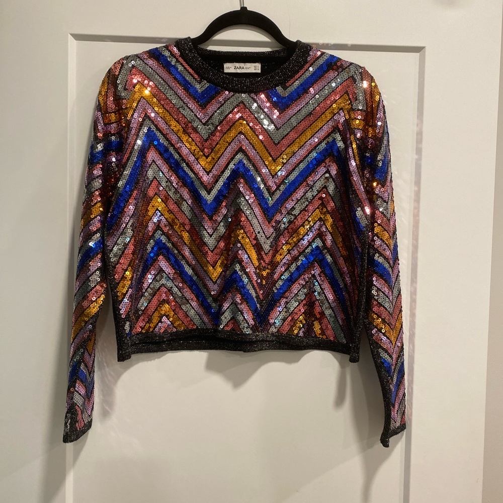 Zara Knit Sequin Crop Top